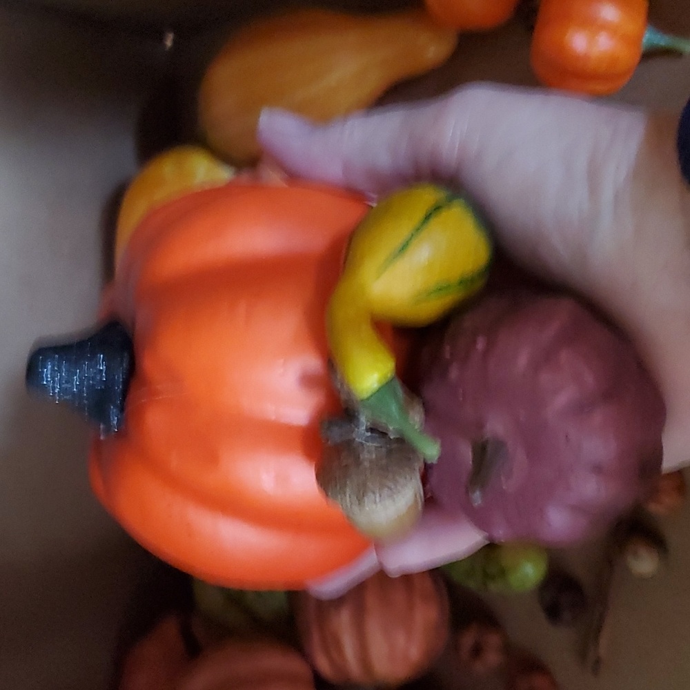 Large Lot Artificial Fake Fall Hatvest Fruits Decoration REALISTIC Arts & Crafts - Picture 5 of 8